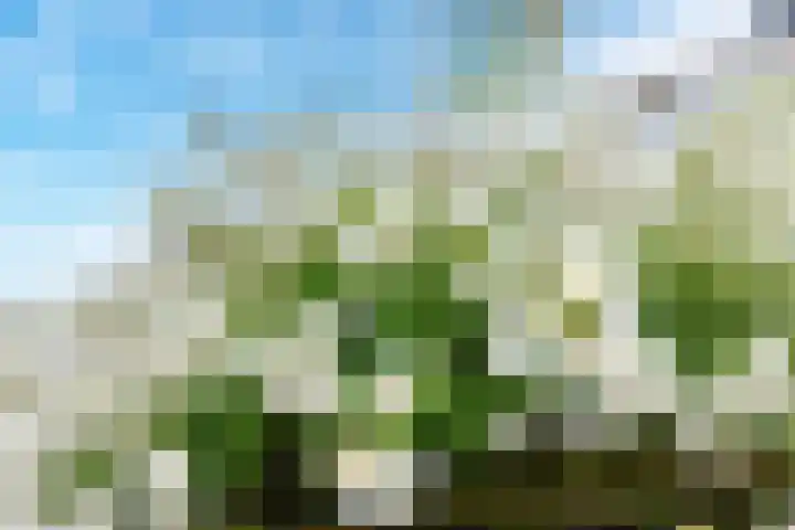 Ampèrestraat 69 Utrecht thumbnail 22