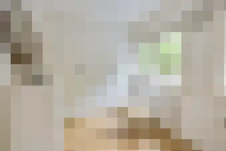 Ampèrestraat 69 Utrecht thumbnail 27