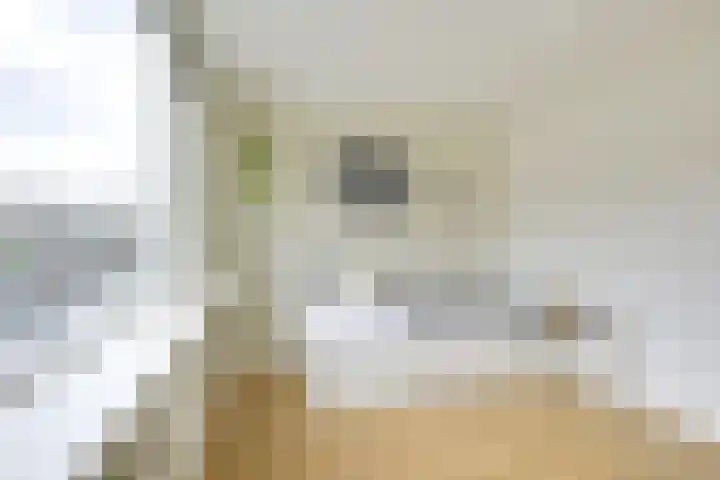 Ampèrestraat 69 Utrecht thumbnail 30