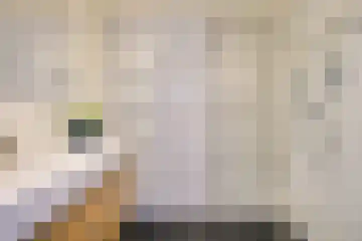 Ampèrestraat 69 Utrecht thumbnail 32