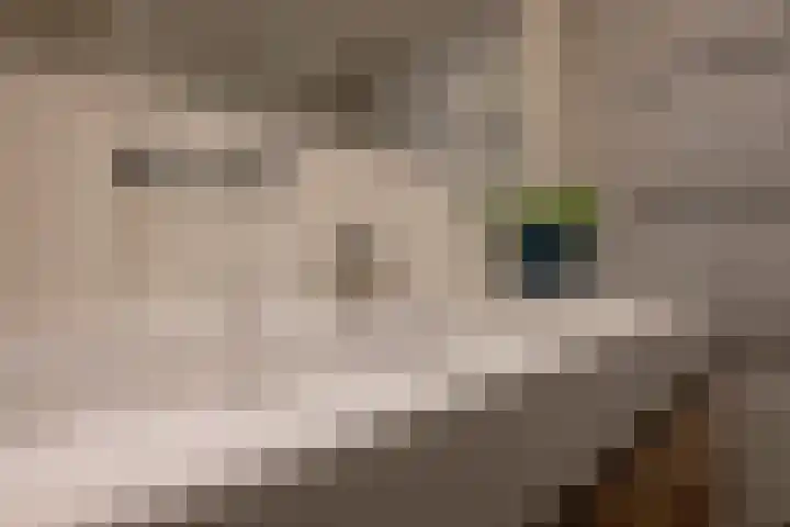 Ampèrestraat 69 Utrecht thumbnail 33