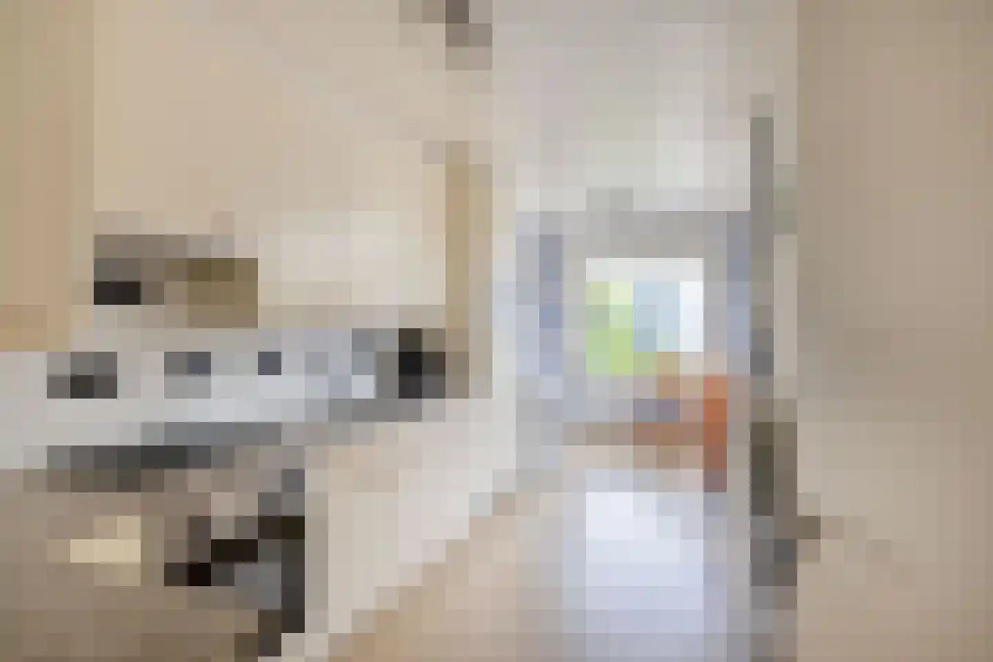 Ampèrestraat 7 Oosterhout thumbnail 10