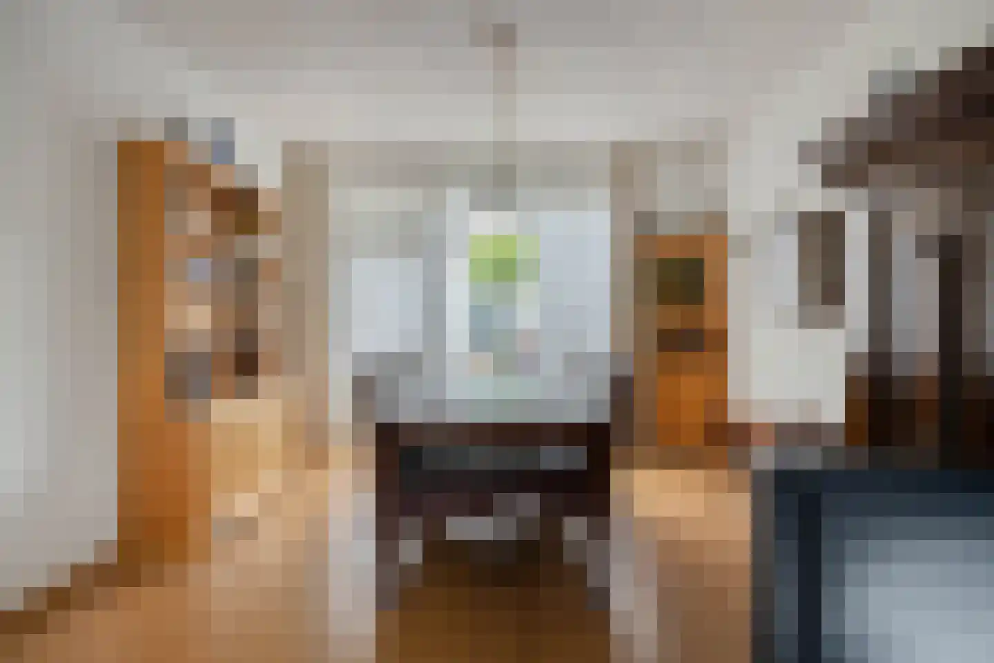 Ampèrestraat 7 Oosterhout thumbnail 8