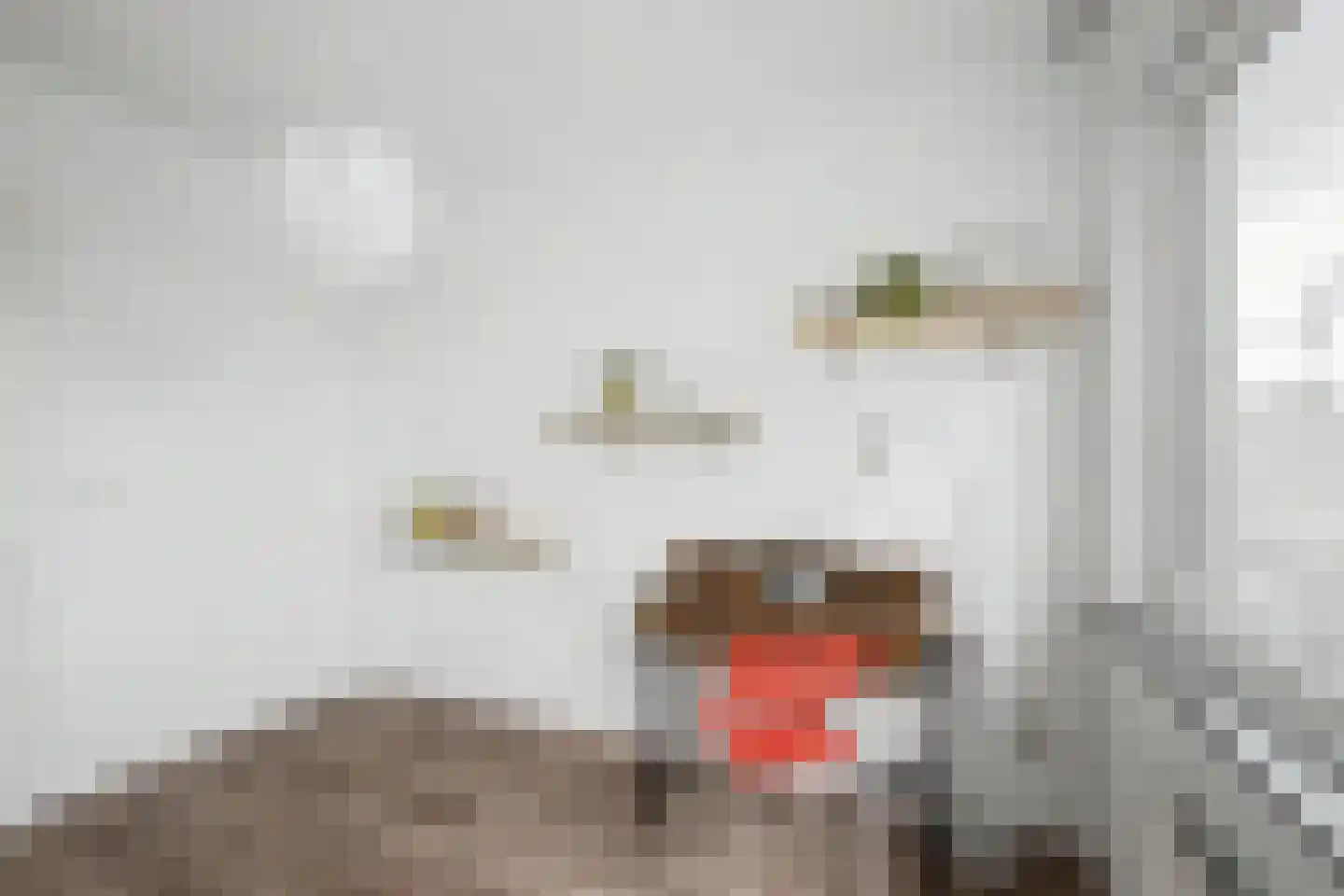 Ampèrestraat 8 Terneuzen thumbnail 18