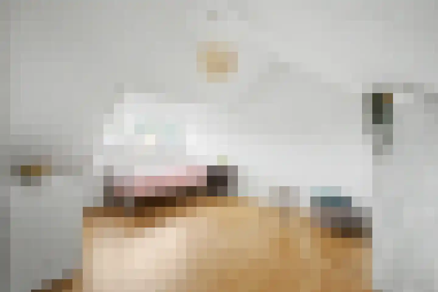 Ampèrestraat 8 Terneuzen thumbnail 22