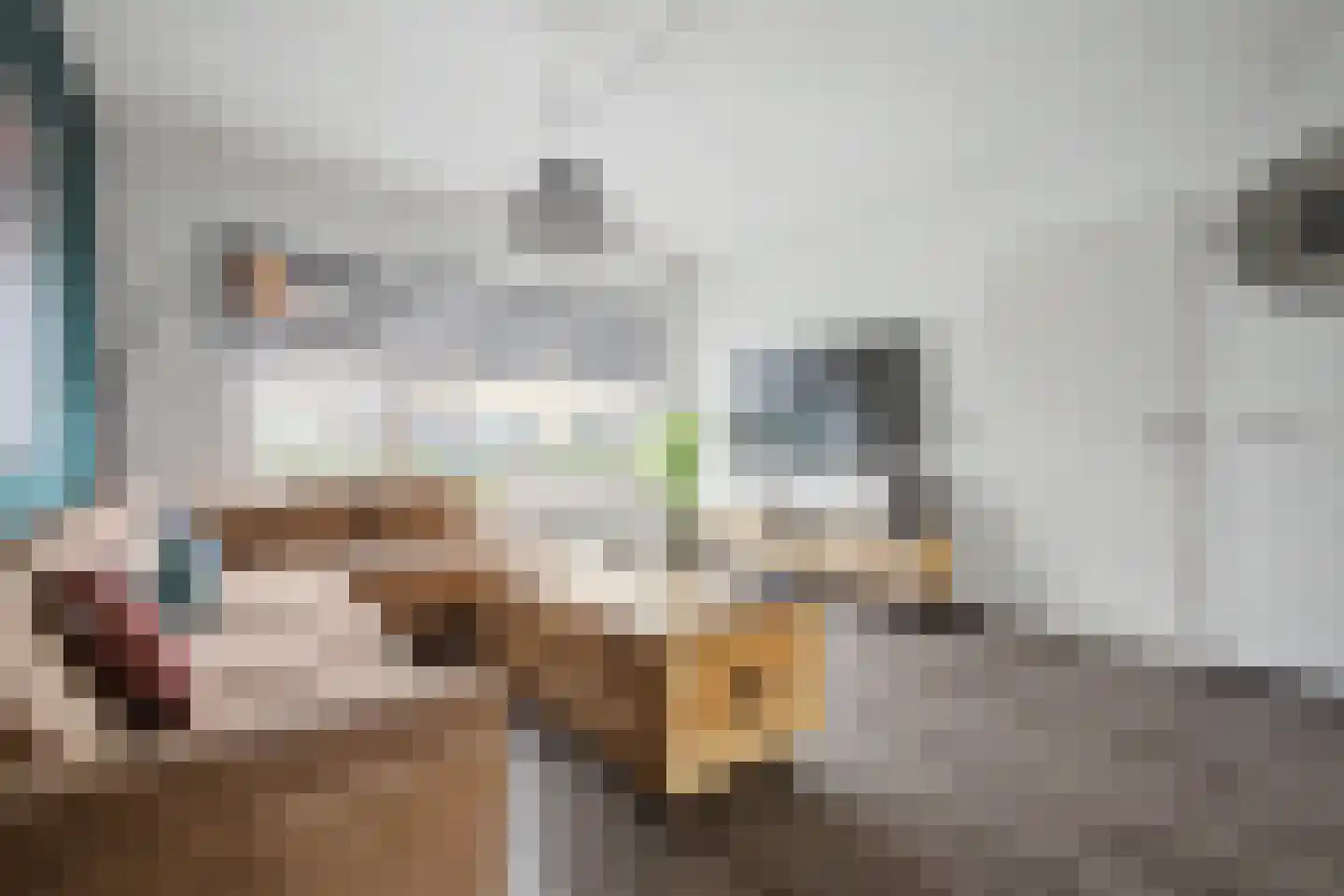 Ampèrestraat 8 Terneuzen thumbnail 7