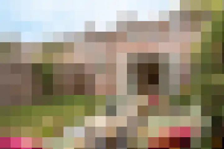 Ampèreweg 12 Breda thumbnail 27