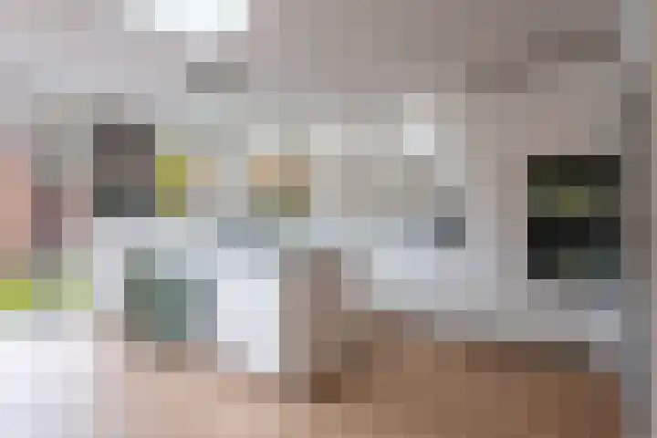 Ampèreweg 12 Breda thumbnail 8