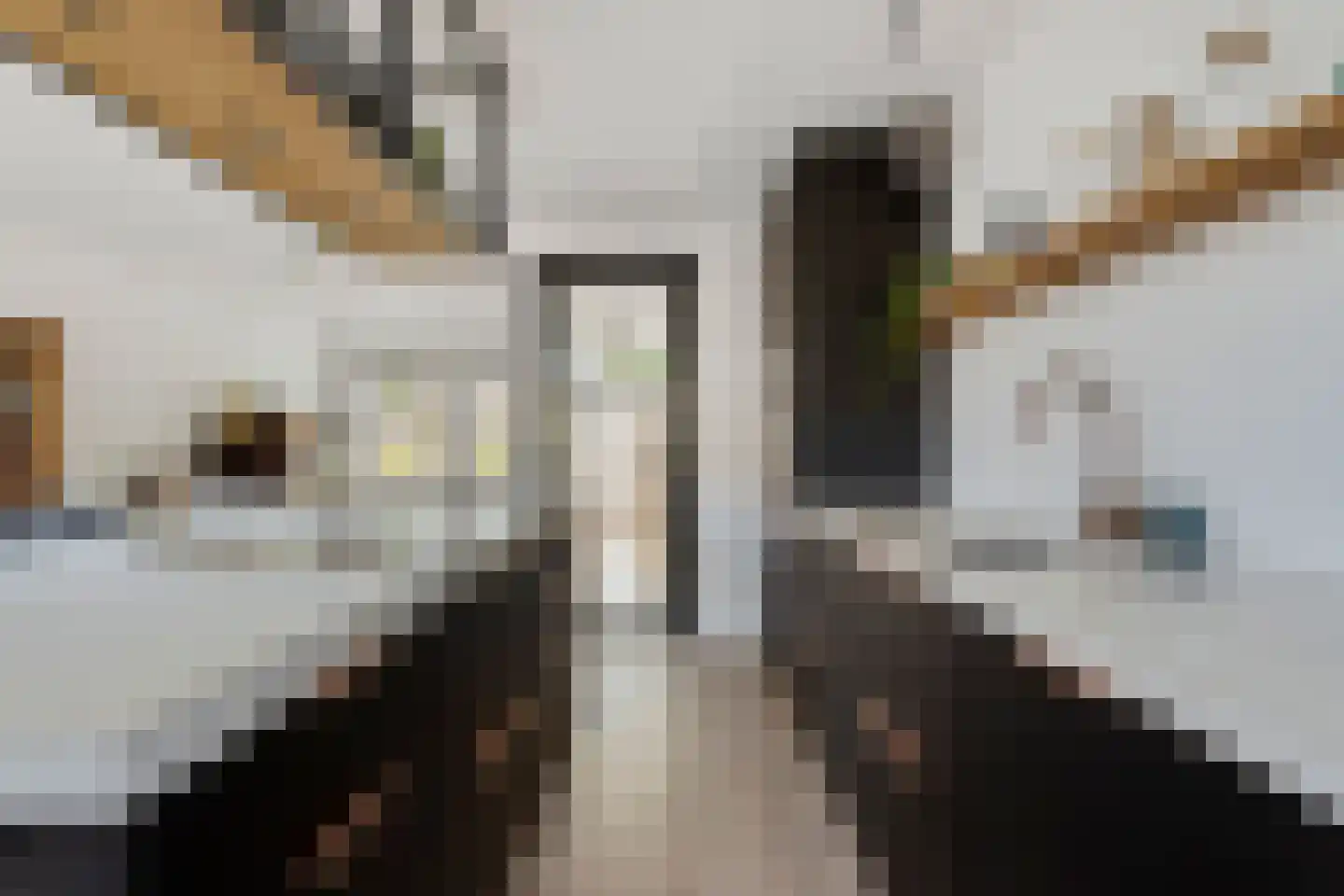 Ampèreweg 7 Breda thumbnail 16