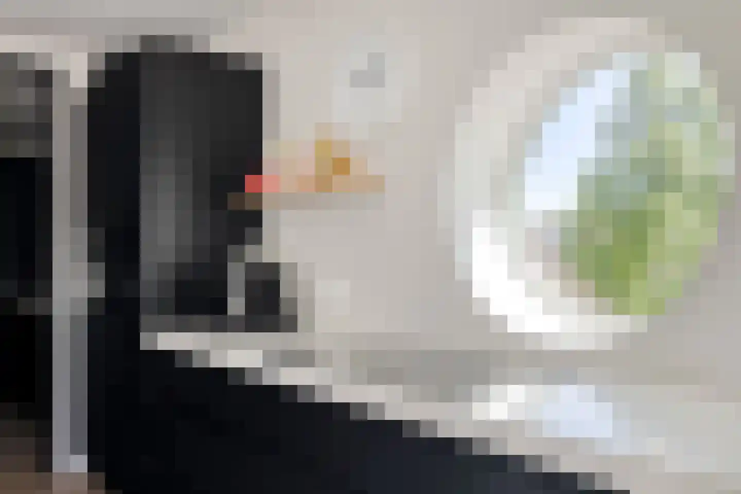 Amphion 102 Apeldoorn thumbnail 13