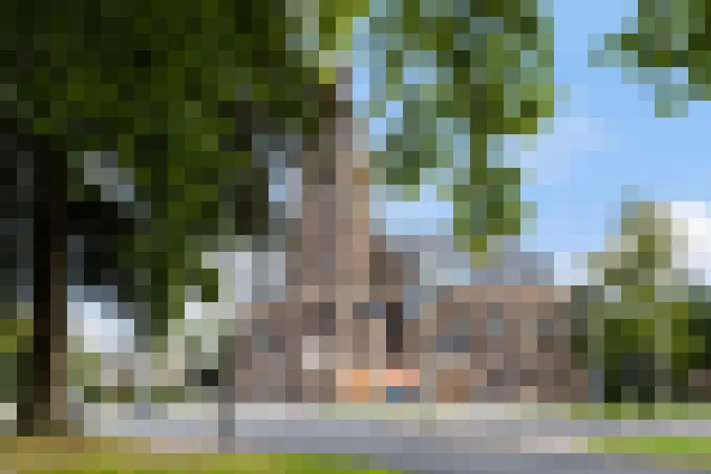 Amphion 20 Apeldoorn thumbnail 47