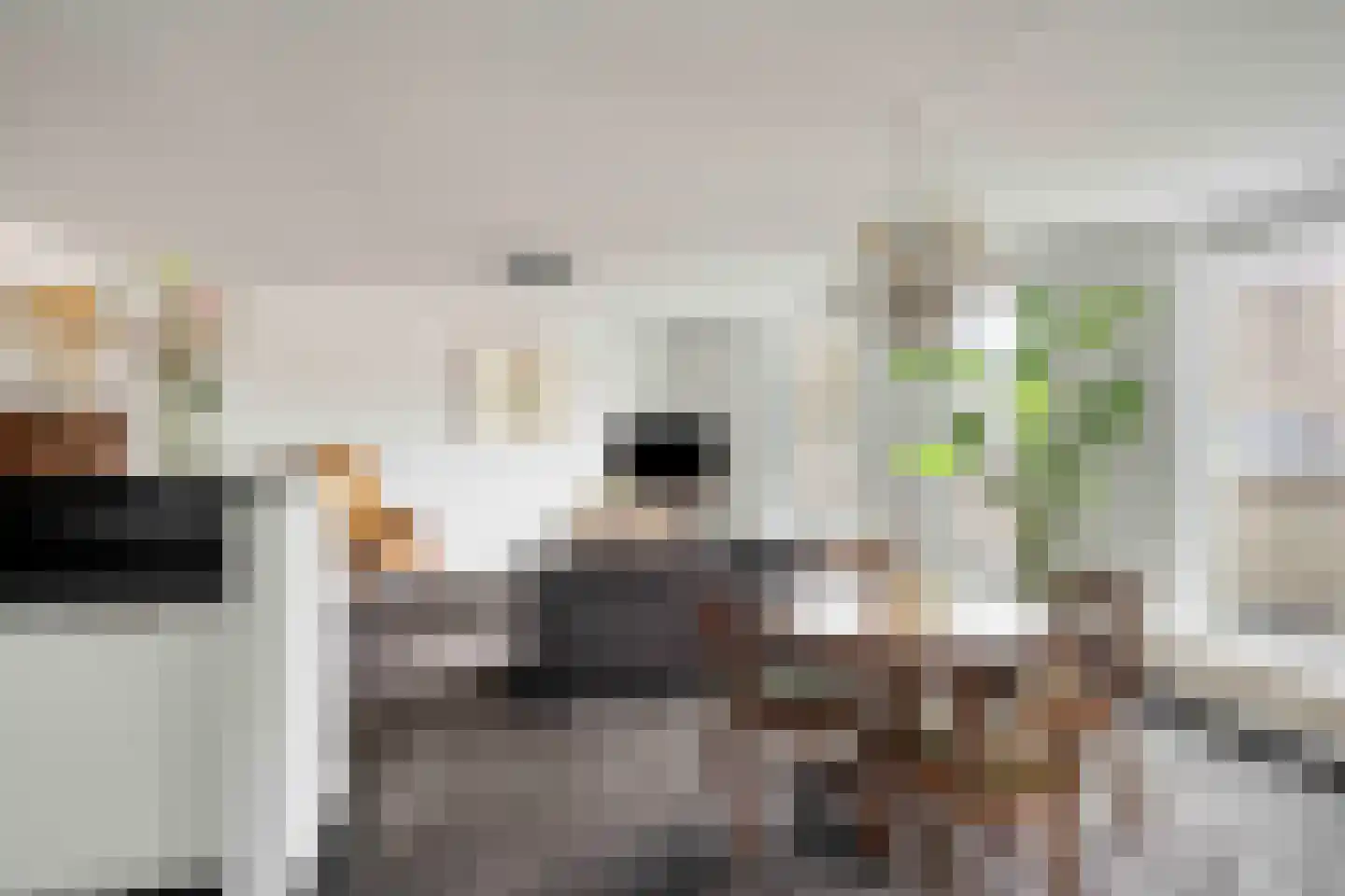 Amphion 86 Apeldoorn thumbnail 9