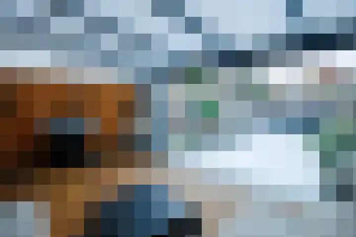 Ampsen 25 Doetinchem thumbnail 13