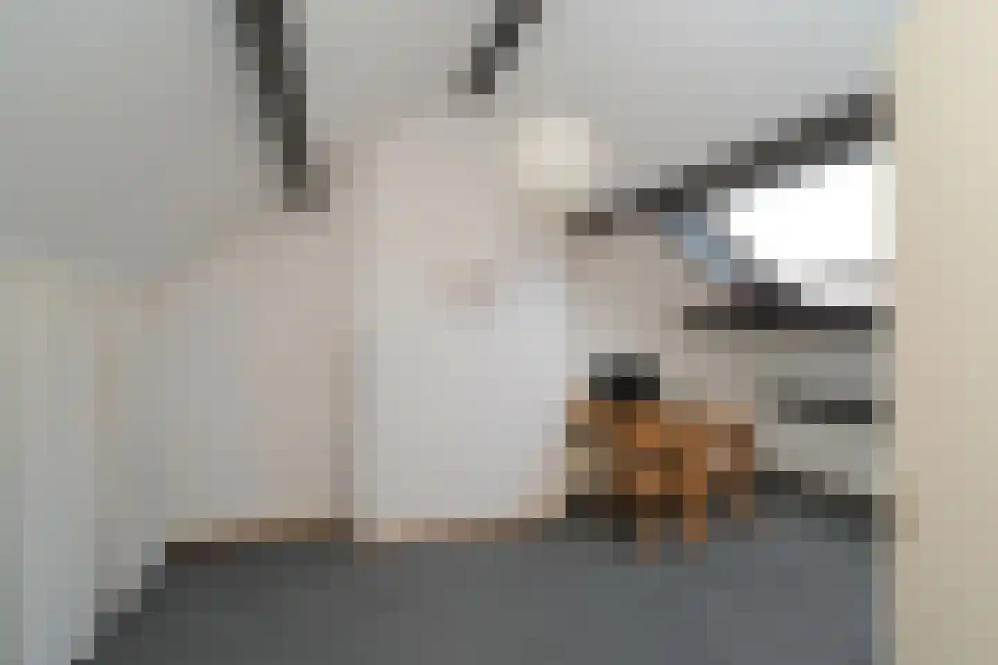 Ampsen 26 Almelo thumbnail 22