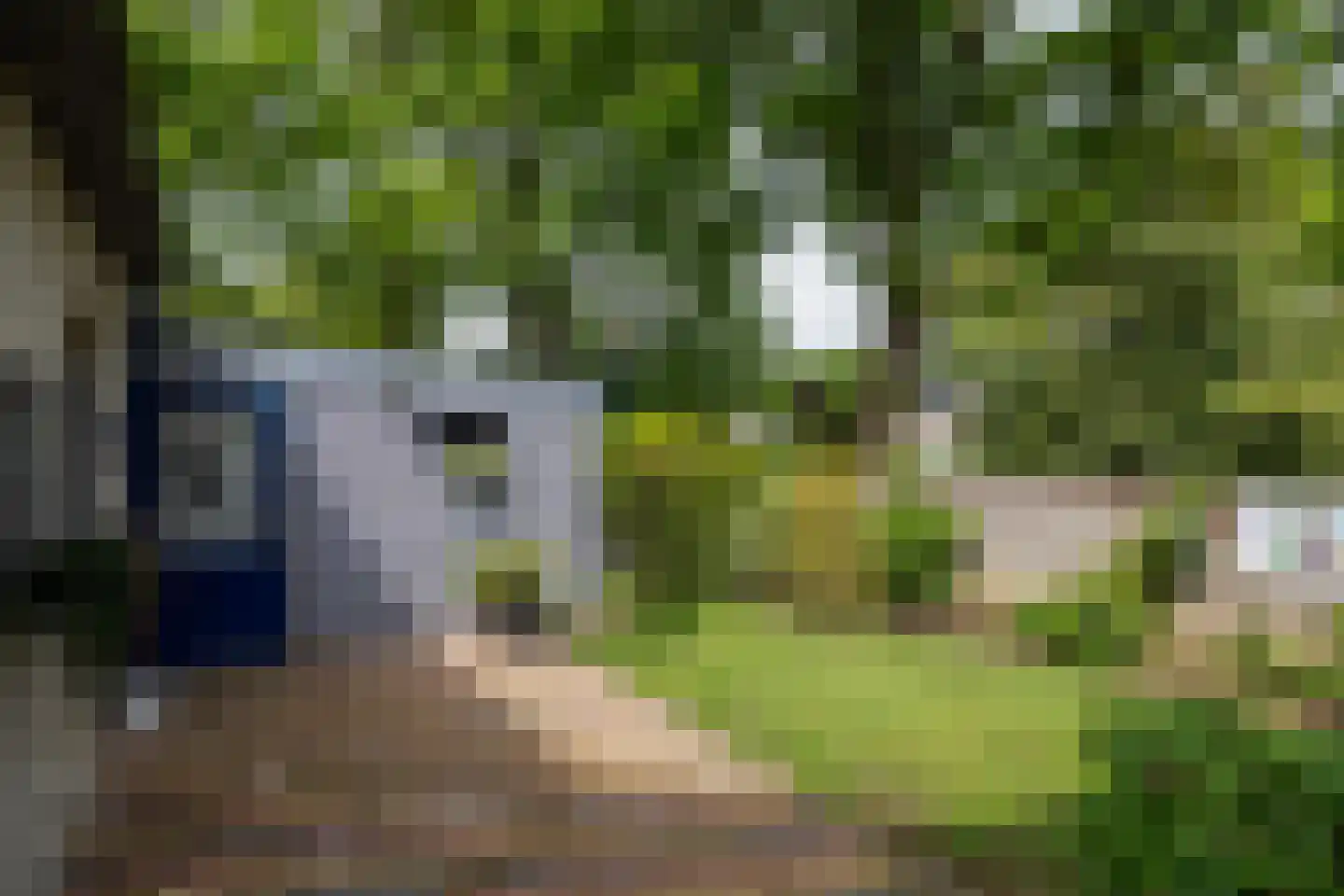 Ampsen 29 Doetinchem thumbnail 12
