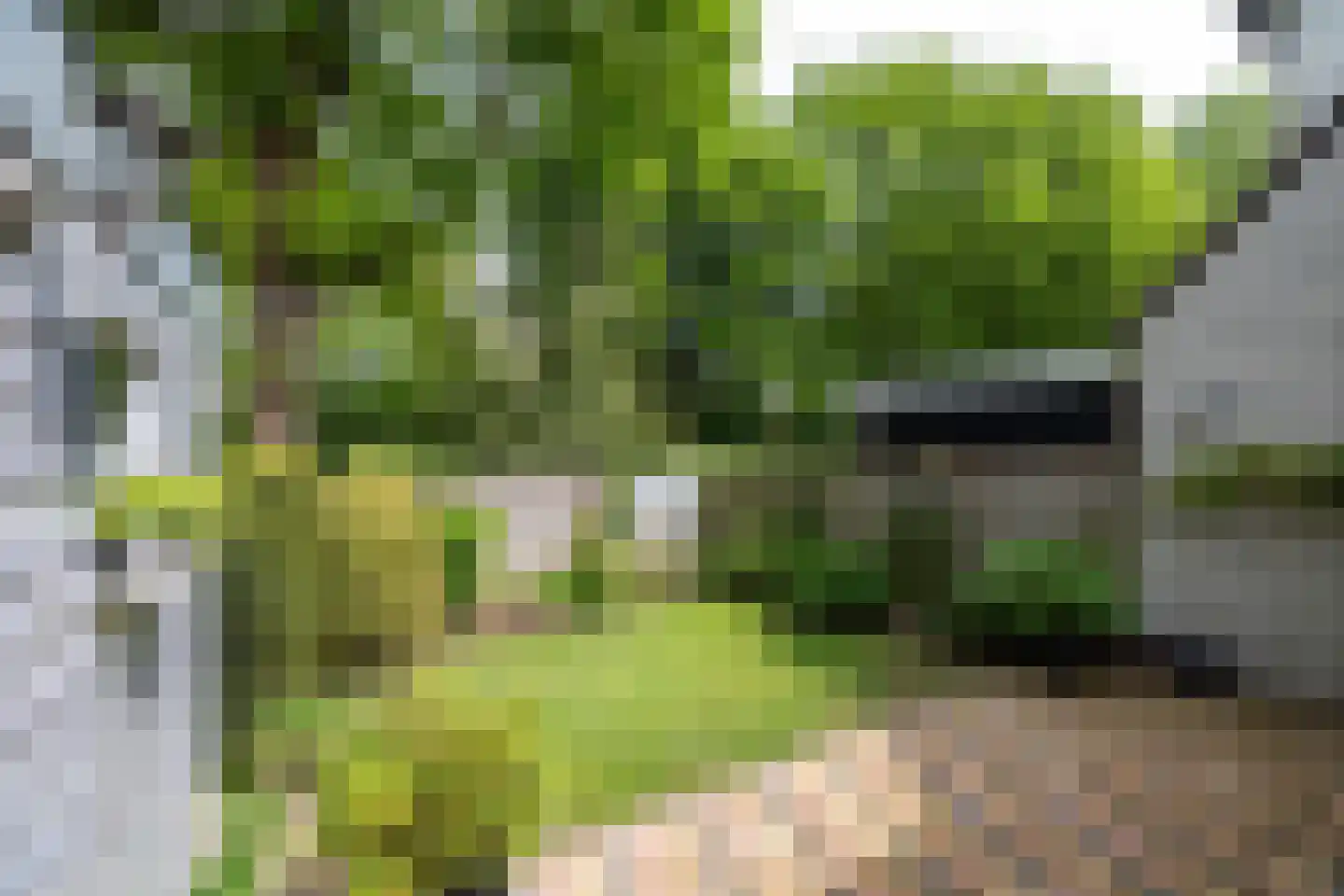 Ampsen 29 Doetinchem thumbnail 13