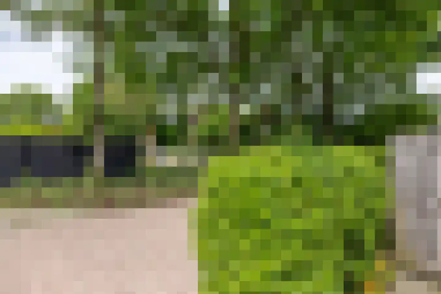 Ampsen 29 Doetinchem thumbnail 15