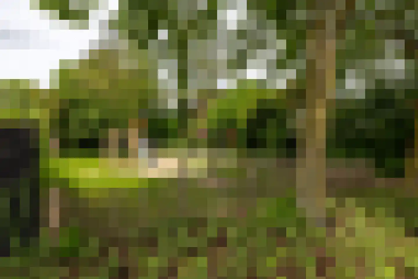 Ampsen 29 Doetinchem thumbnail 16