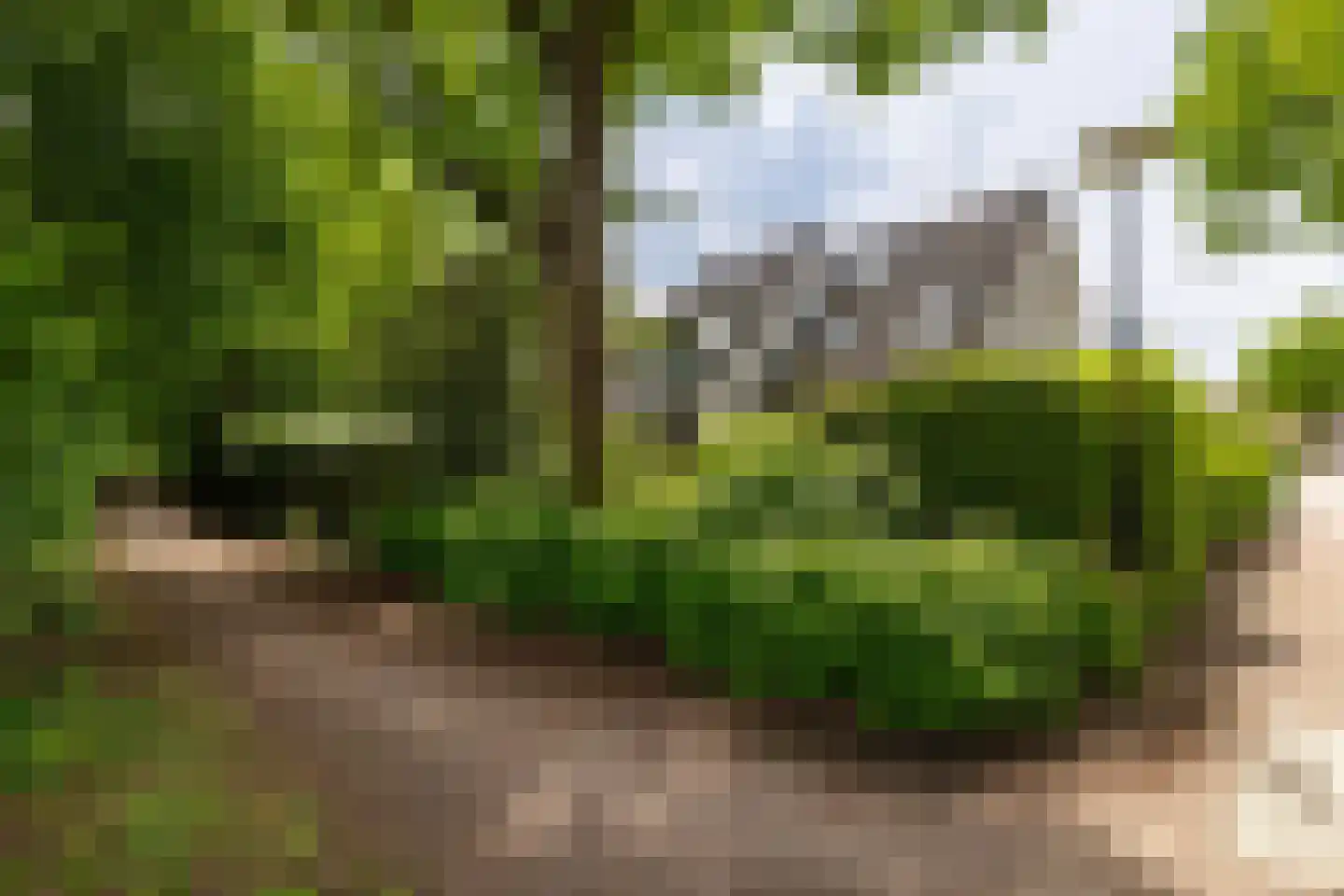 Ampsen 29 Doetinchem thumbnail 18