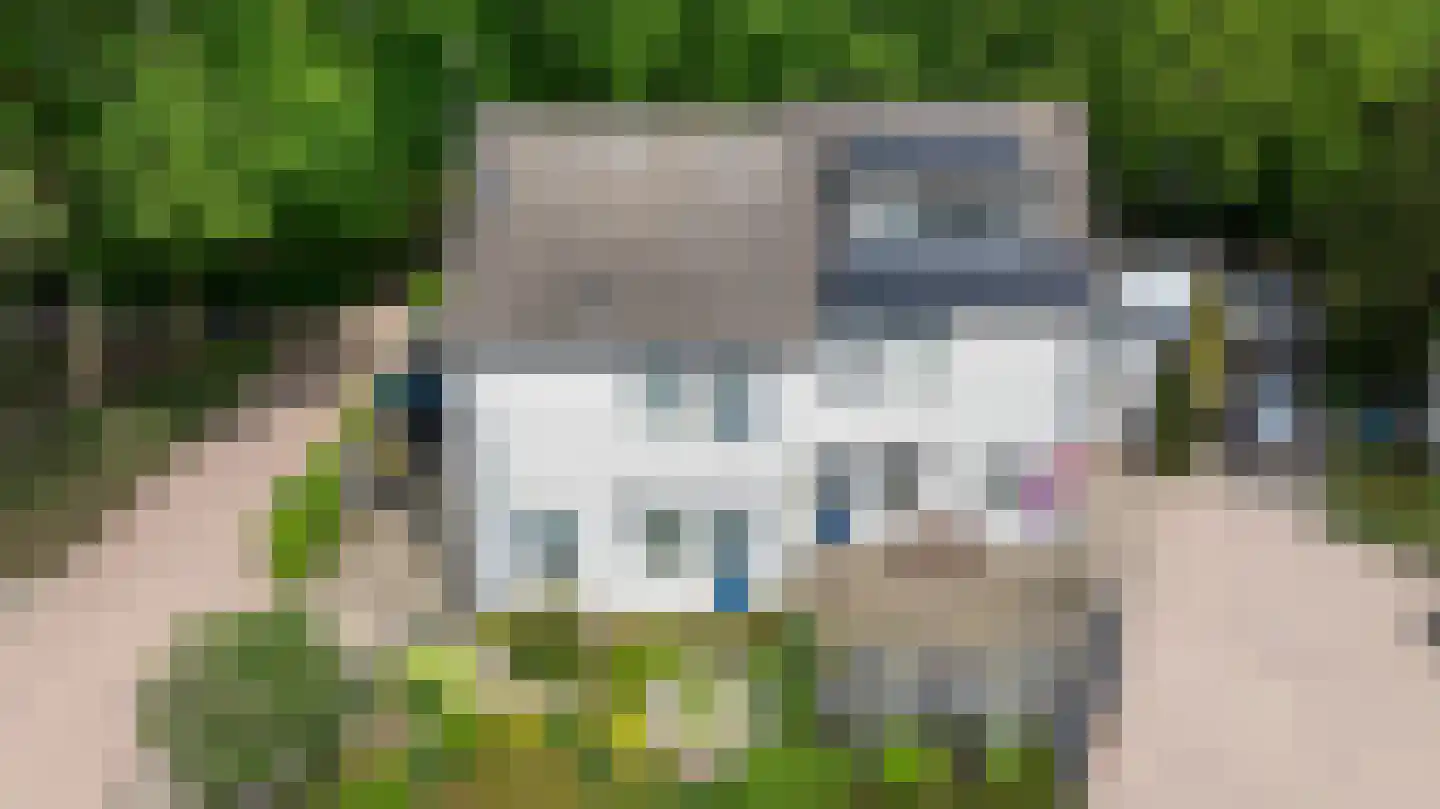 Ampsen 29 Doetinchem thumbnail 41
