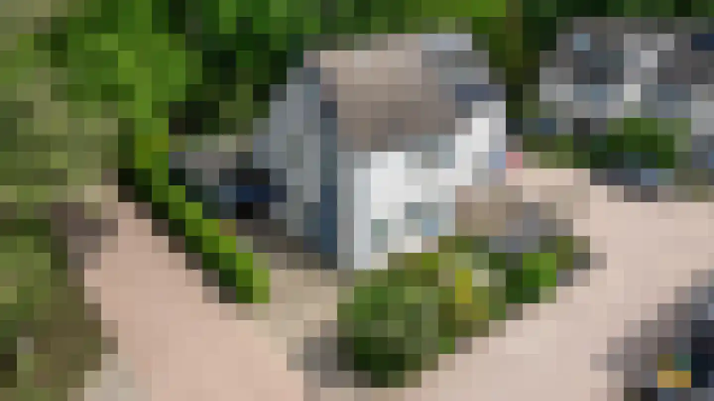Ampsen 29 Doetinchem thumbnail 42