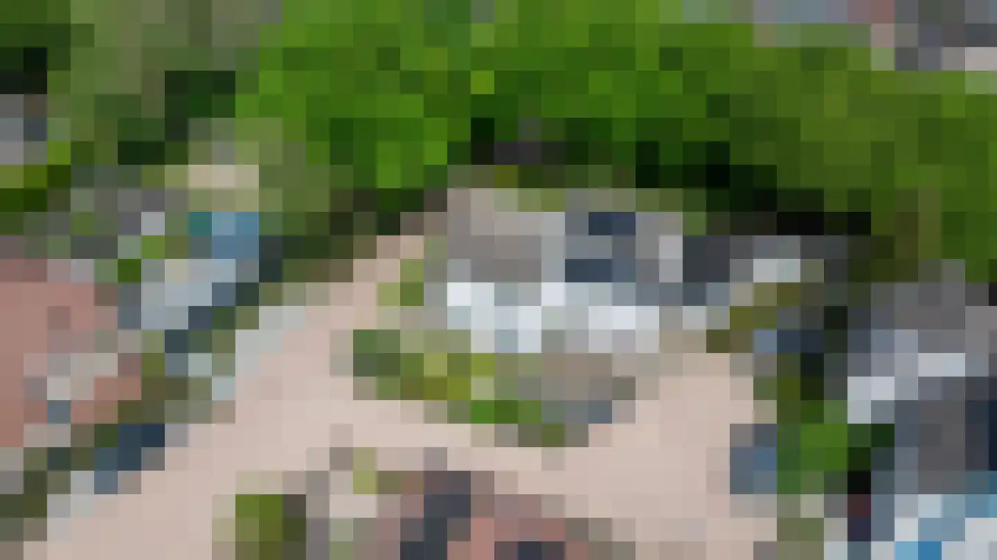 Ampsen 29 Doetinchem thumbnail 43