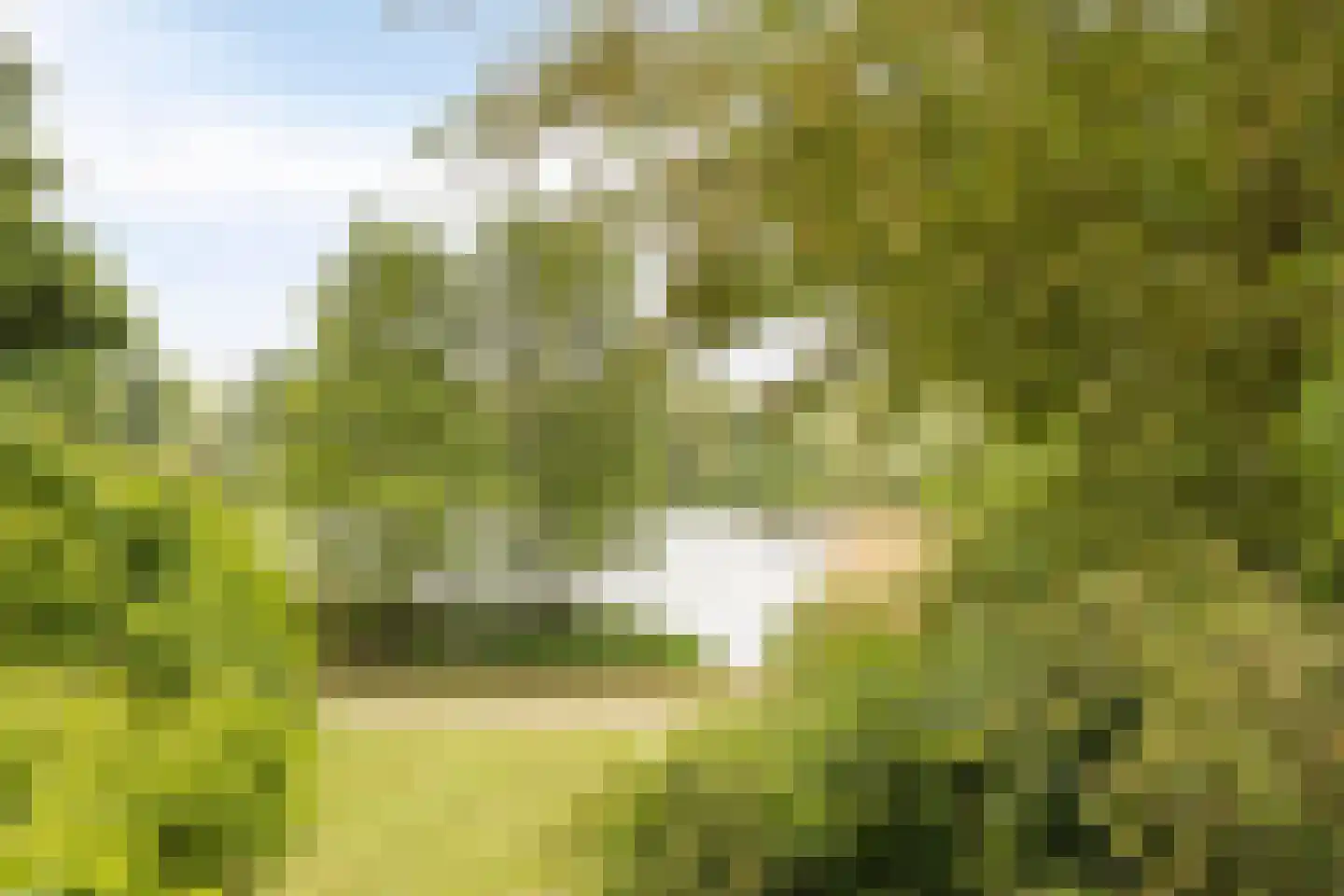 Ampsen 40 Doetinchem thumbnail 21