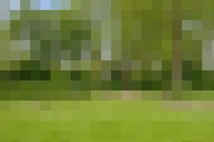 Ampsen 42 Doetinchem thumbnail 27