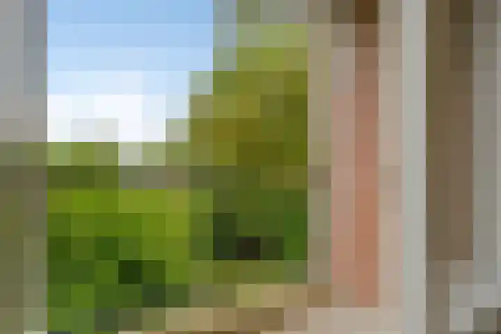 Ampsen 42 Doetinchem thumbnail 7