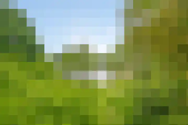 Ampsen 42 Doetinchem thumbnail 8