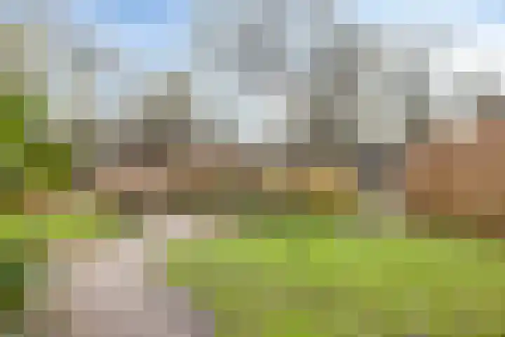 Ampsen 44 A Doetinchem thumbnail 23