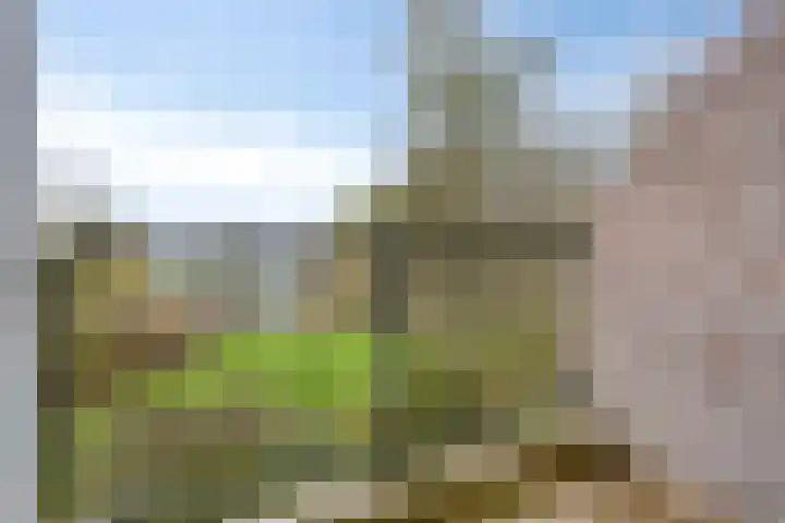 Ampsen 44 A Doetinchem thumbnail 5