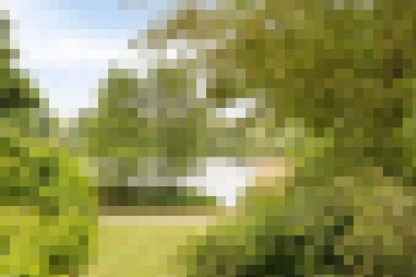 Ampsen 52 A Doetinchem thumbnail 20