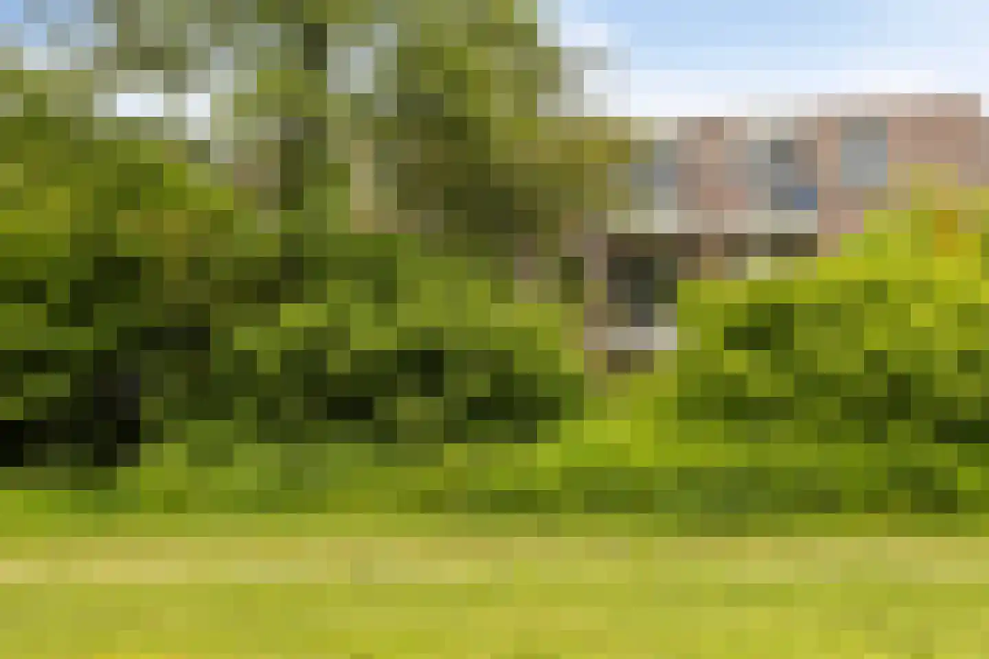 Ampsen 52 A Doetinchem thumbnail 21