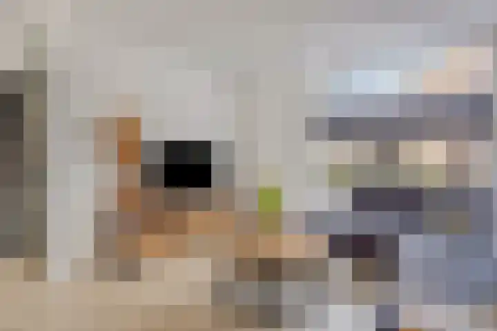 Ampsen 84 Almelo thumbnail 10