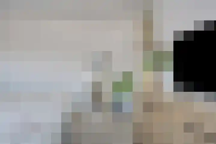 Ampsen 84 Almelo thumbnail 20