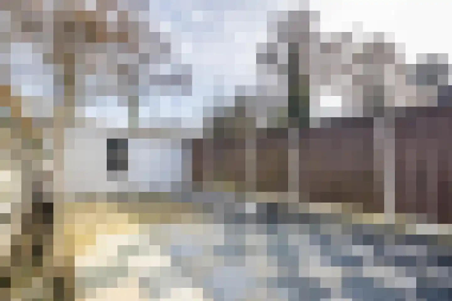 Ampsen 85 Almelo thumbnail 24