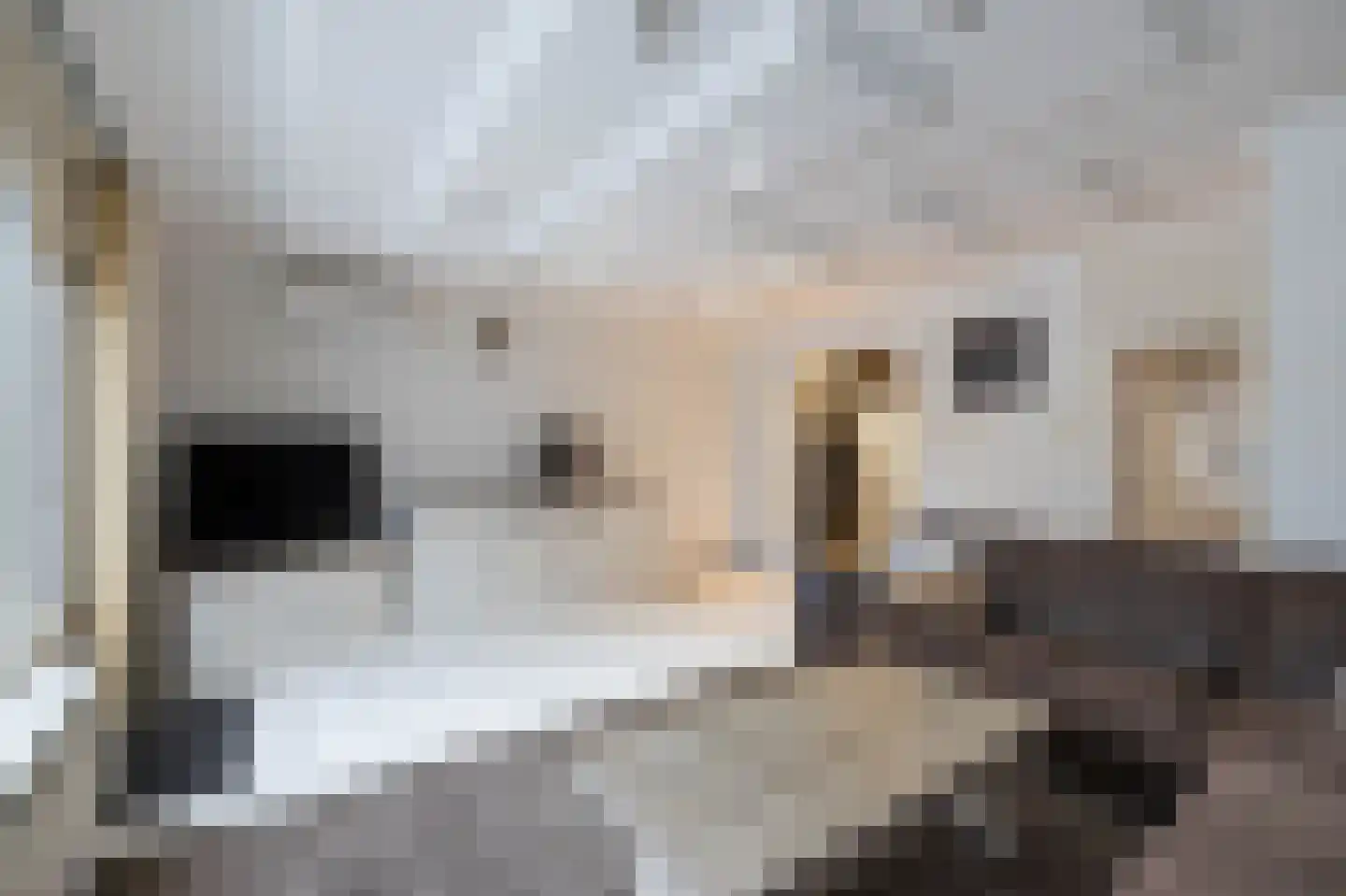 Ampsen 85 Almelo thumbnail 7