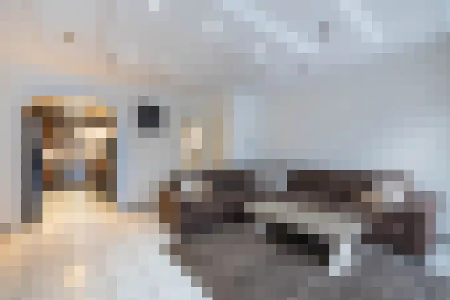 Ampsen 85 Almelo thumbnail 8