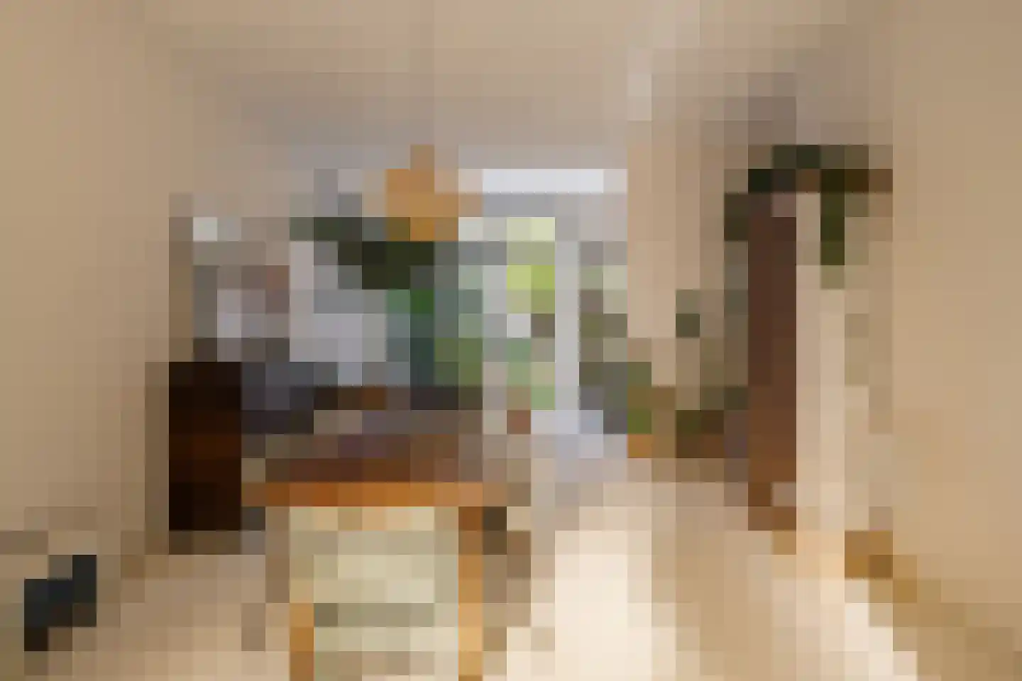 Ampzingstraat 20 Haarlem thumbnail 15