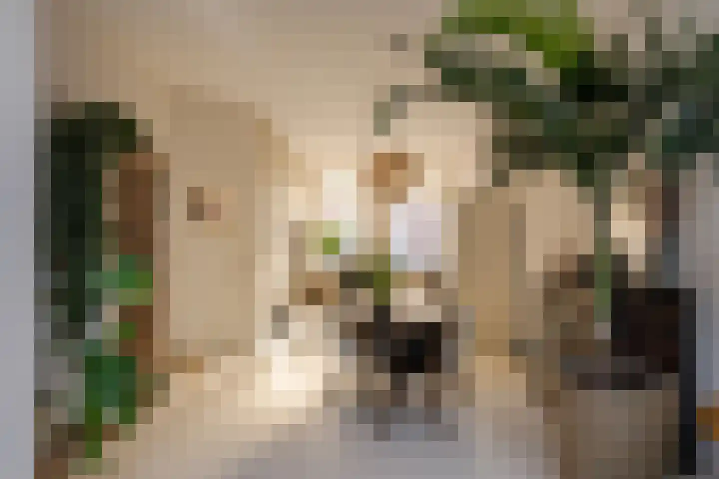 Ampzingstraat 20 Haarlem thumbnail 16