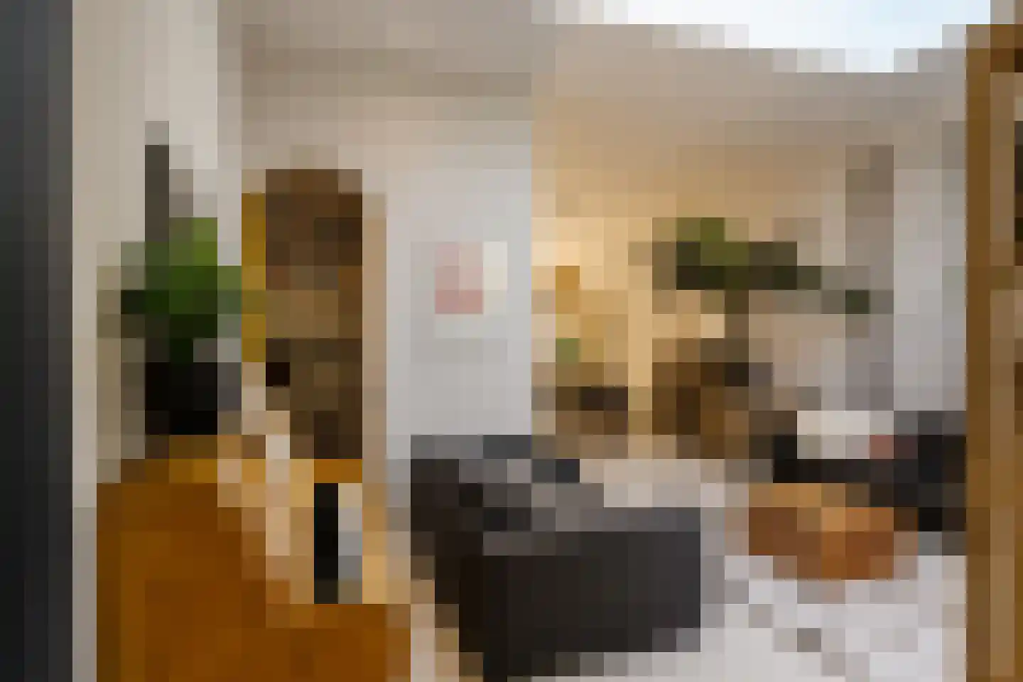 Ampzingstraat 20 Haarlem thumbnail 20