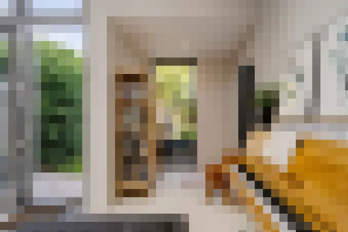 Ampzingstraat 20 Haarlem thumbnail 21