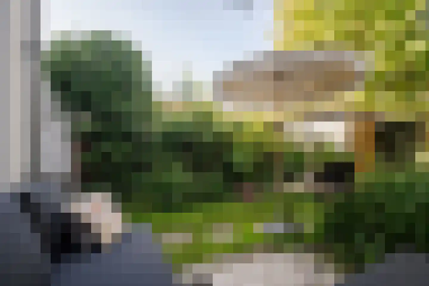Ampzingstraat 20 Haarlem thumbnail 22