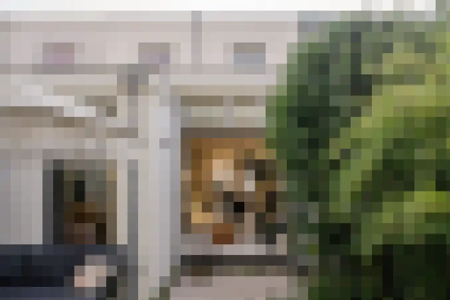 Ampzingstraat 20 Haarlem thumbnail 23