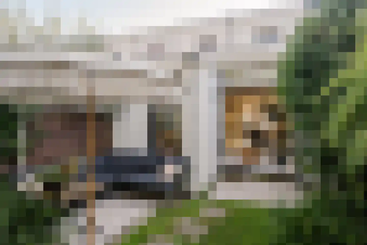 Ampzingstraat 20 Haarlem thumbnail 27