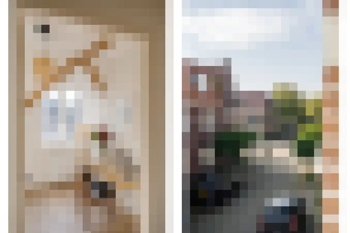 Ampzingstraat 20 Haarlem thumbnail 31