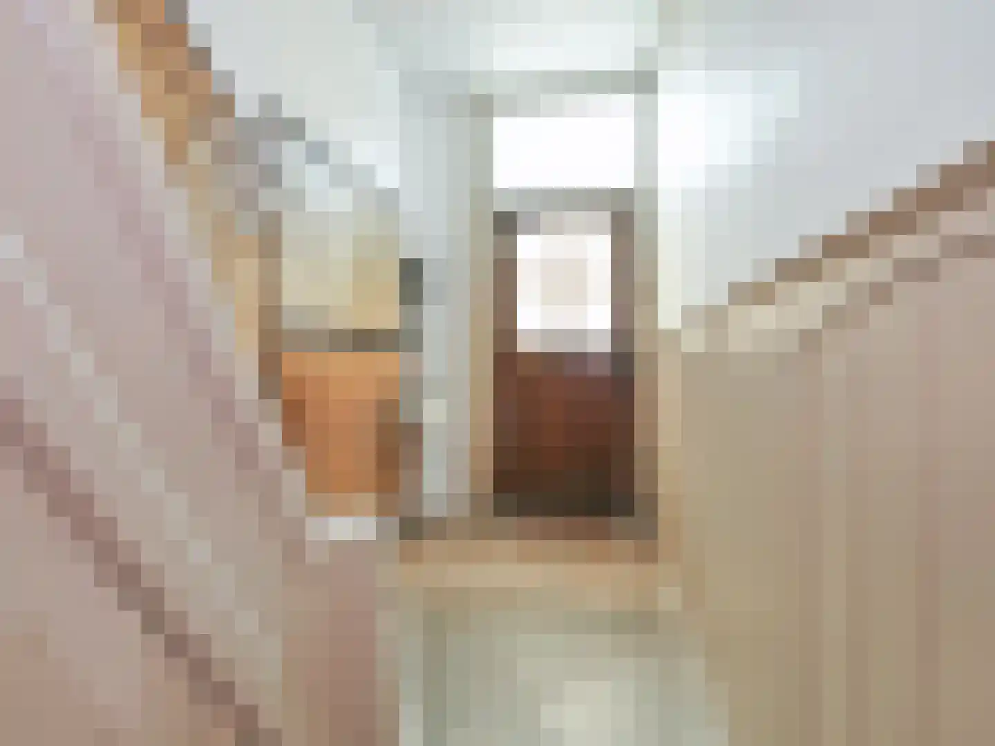 Ampzingstraat 22 Haarlem thumbnail 22