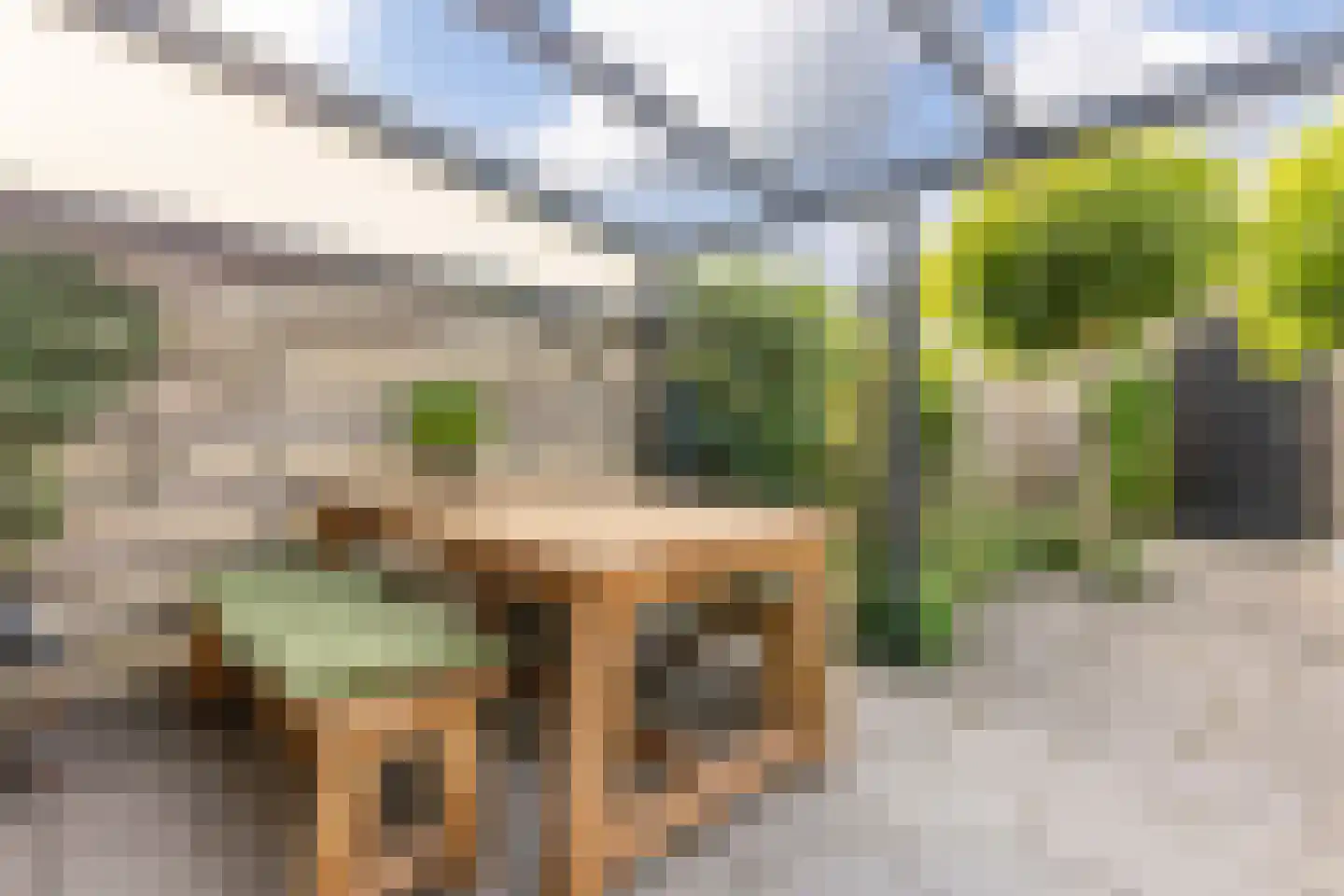 Amrum 16 Zaandam thumbnail 25