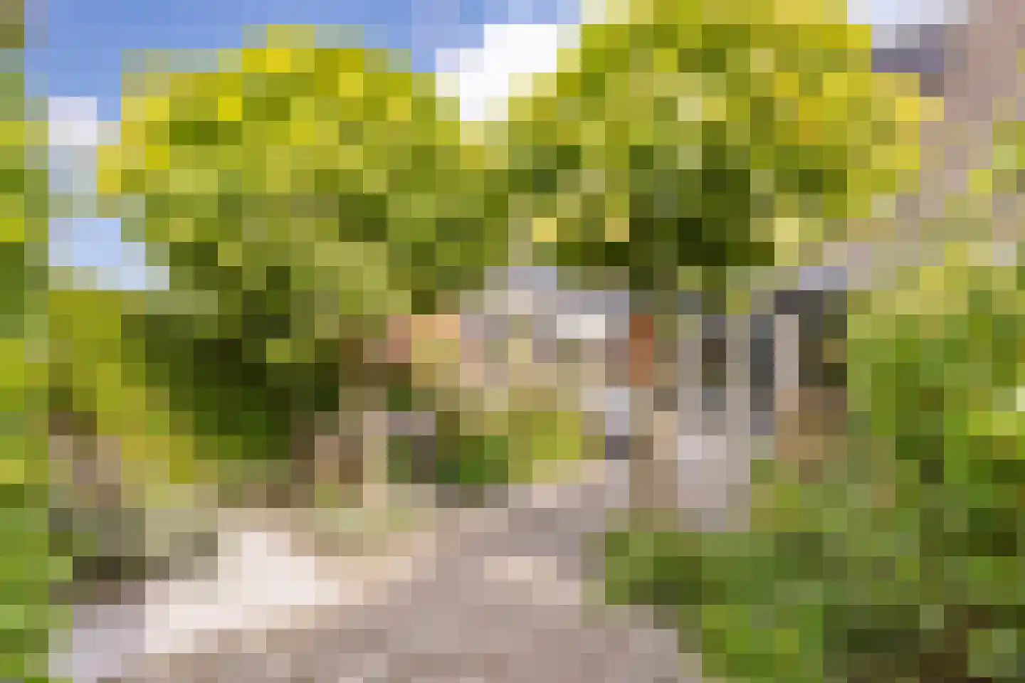 Amrum 16 Zaandam thumbnail 30